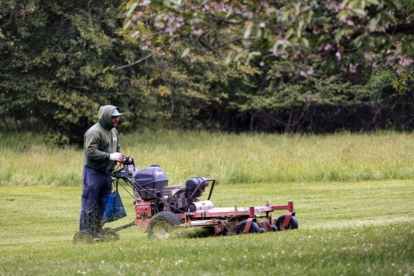 lawn mowing services 