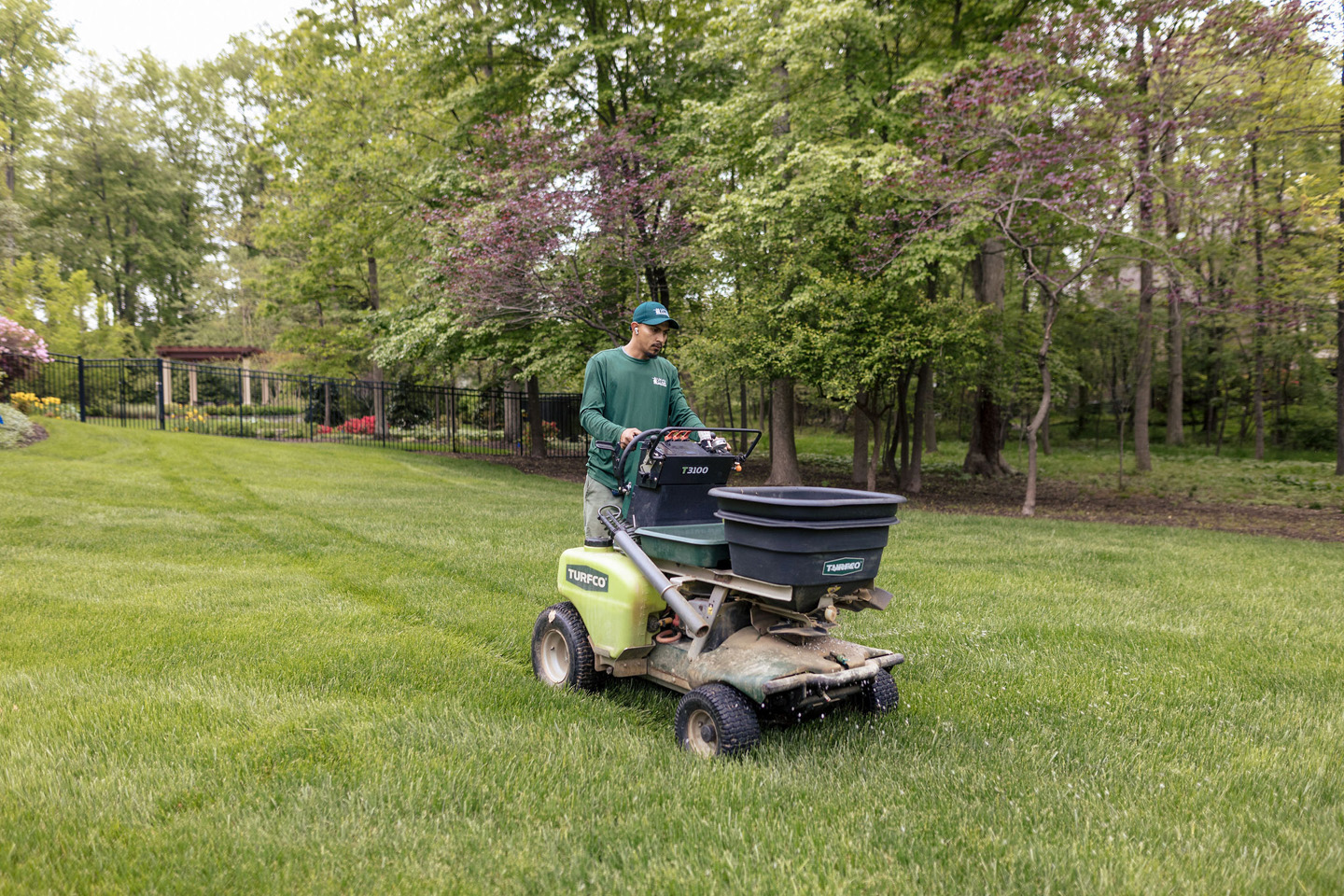 aeration and overseeding
