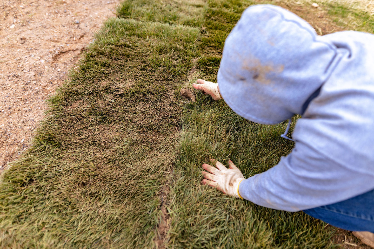 Sod Installation in great Falls VA 