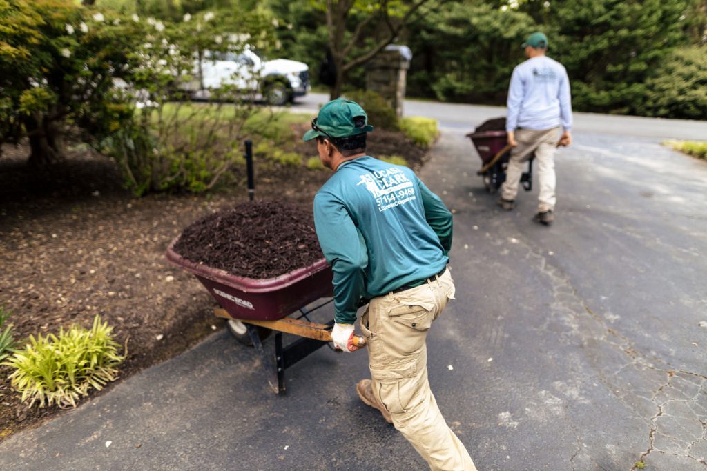 Lawn Maintenance Northern VA