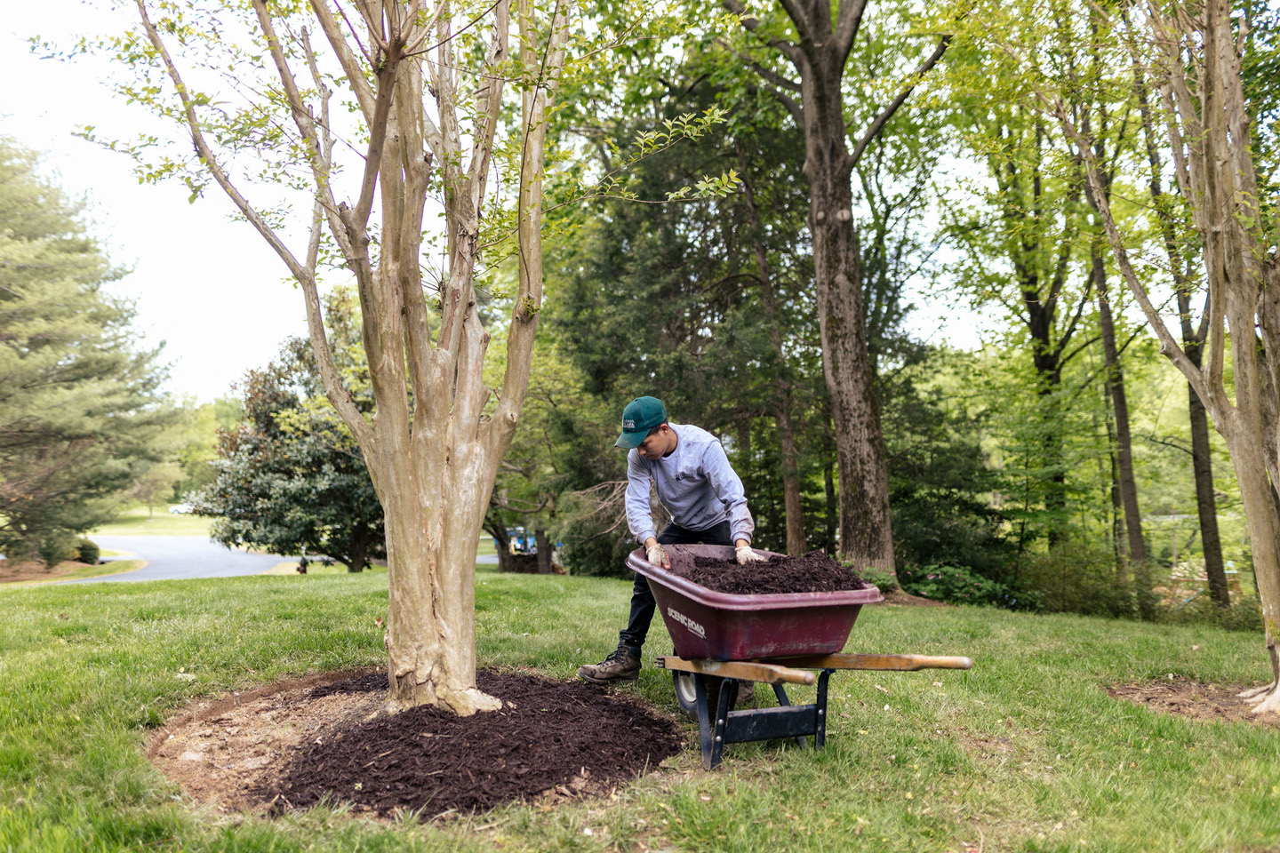 grounds maintenance