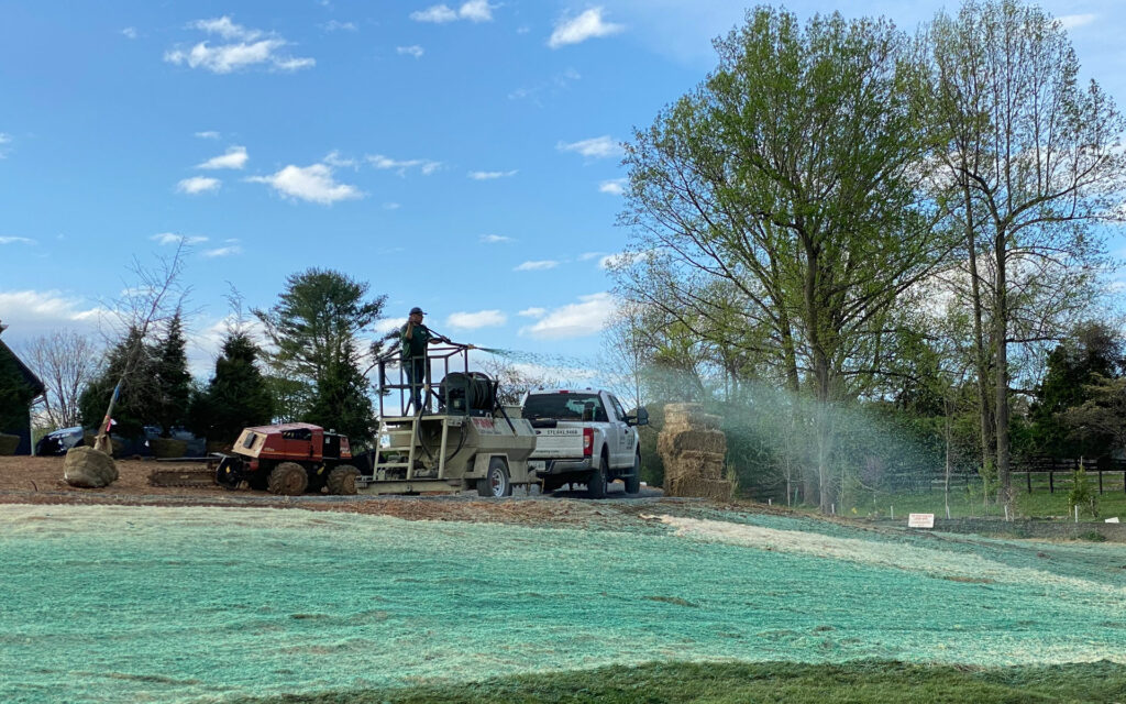 how long does it take for hydroseeding to grow