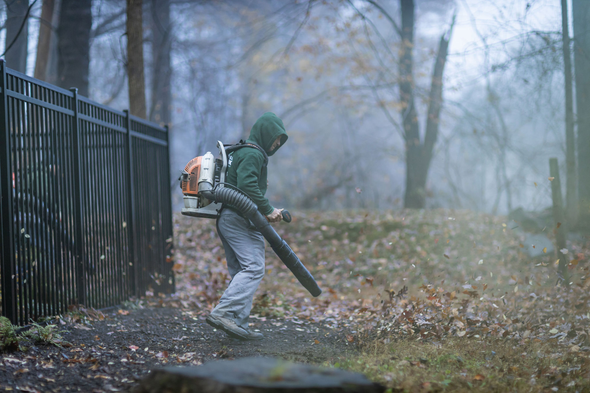 Leaf Removal Services