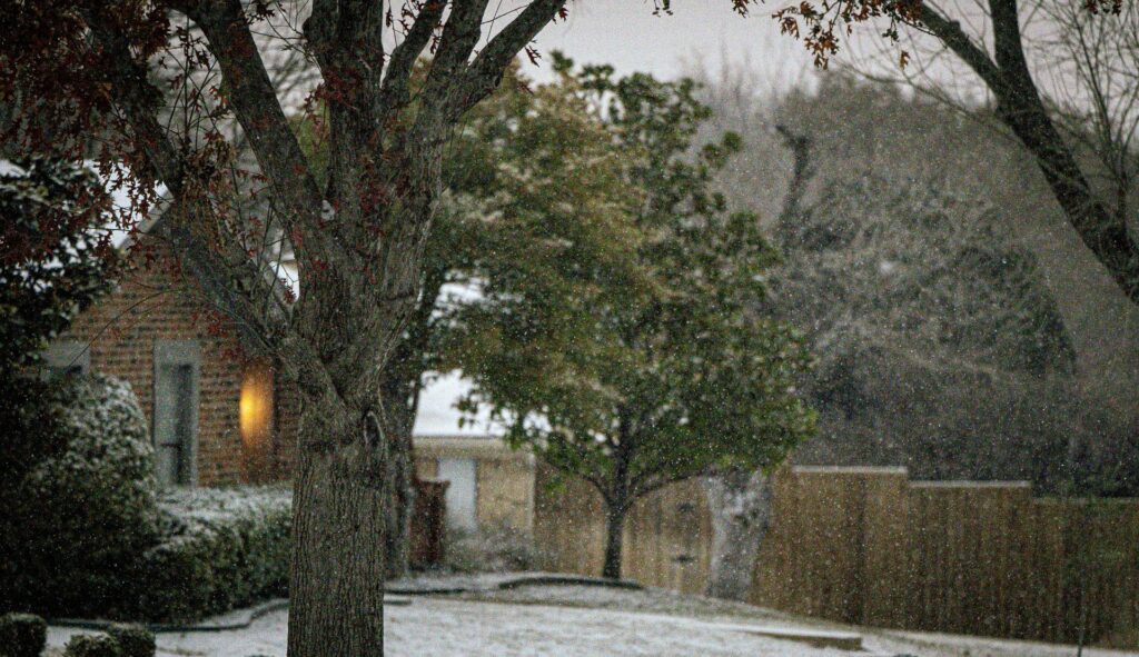 Northern Virginia Winter Landscape