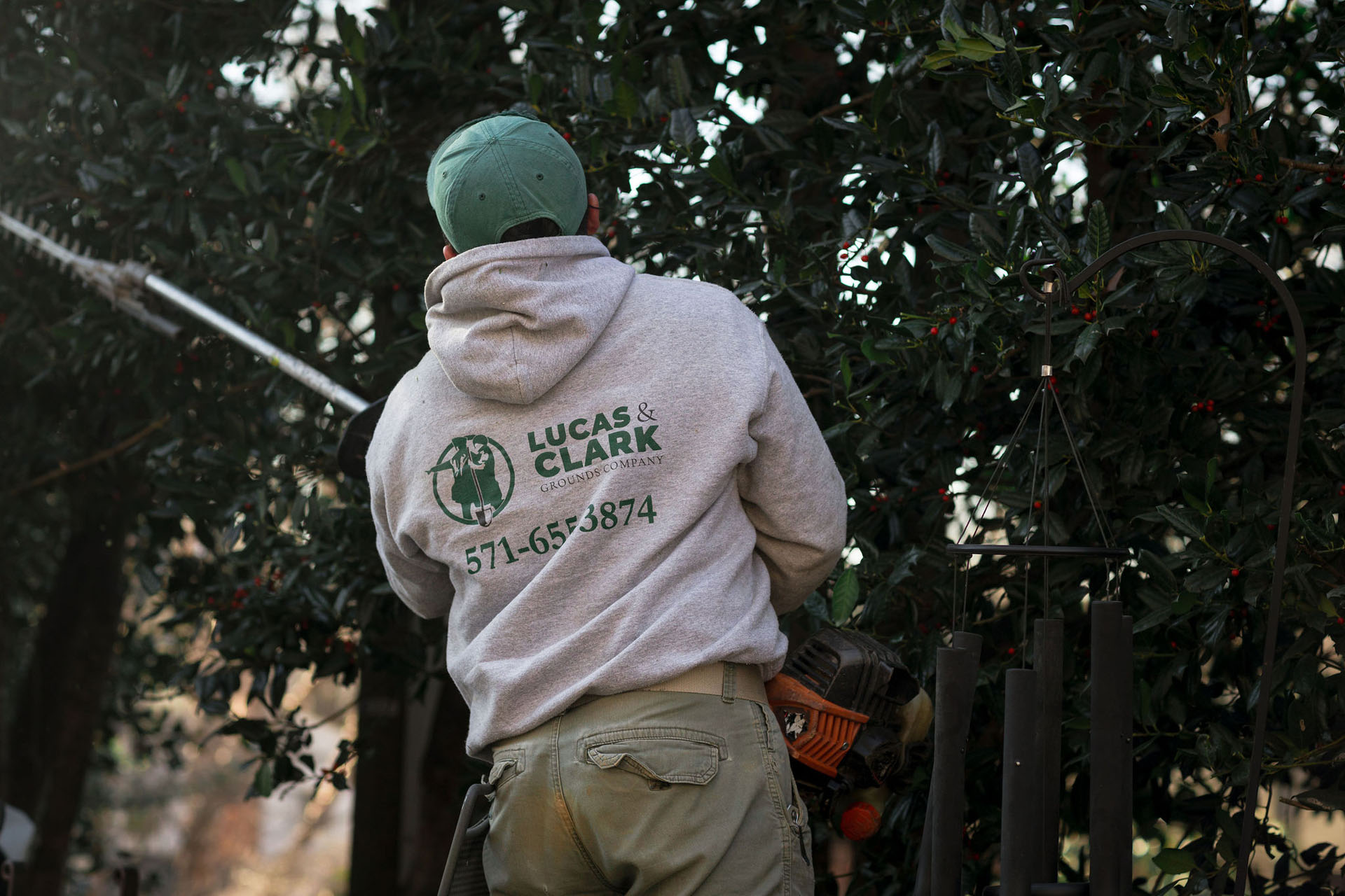 Pruning and trimming in great falls 