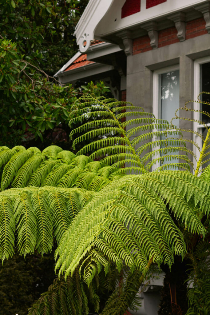 deer proof shade perennials