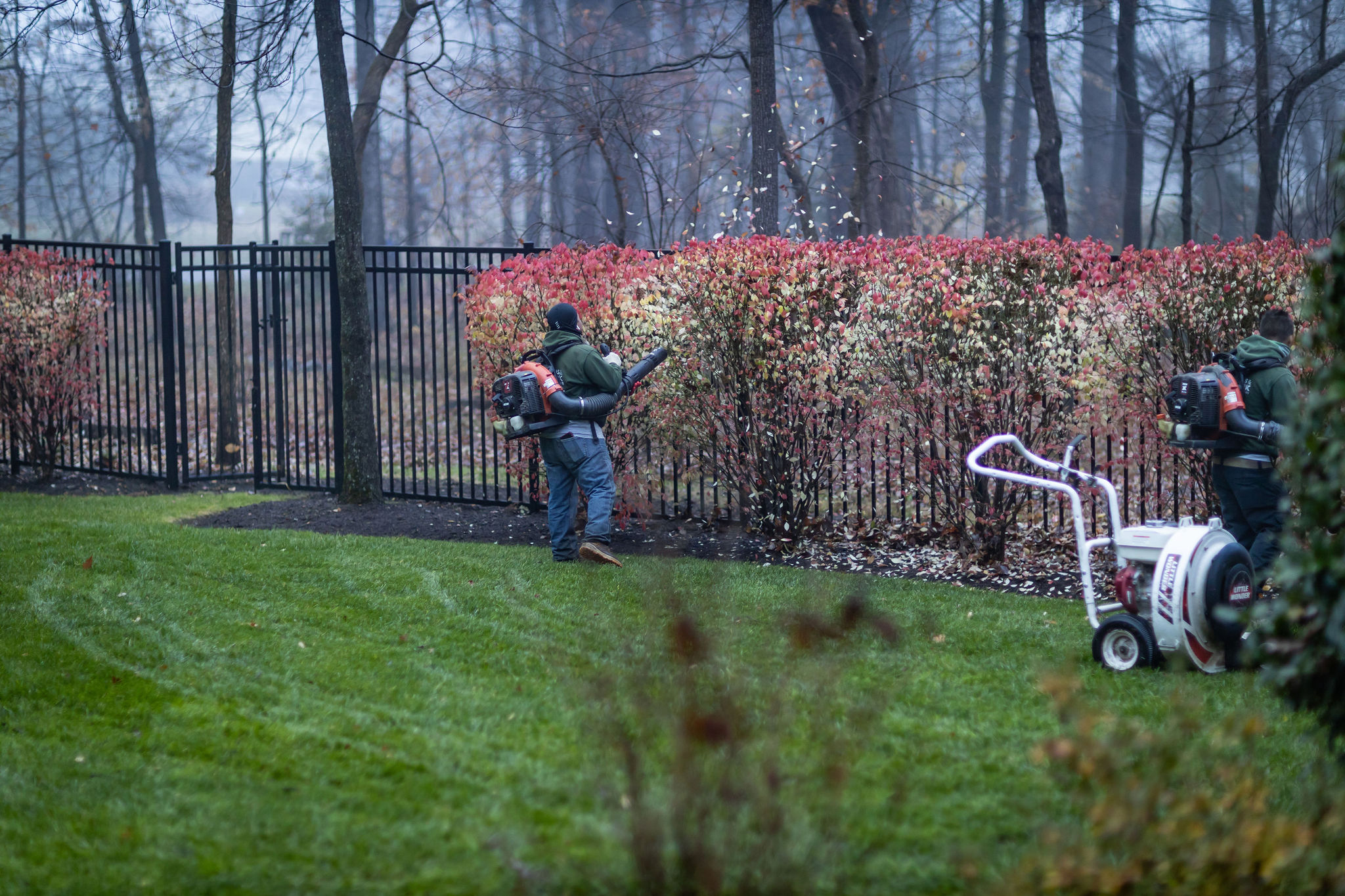 fall clean-up leaf removal and leaf management 