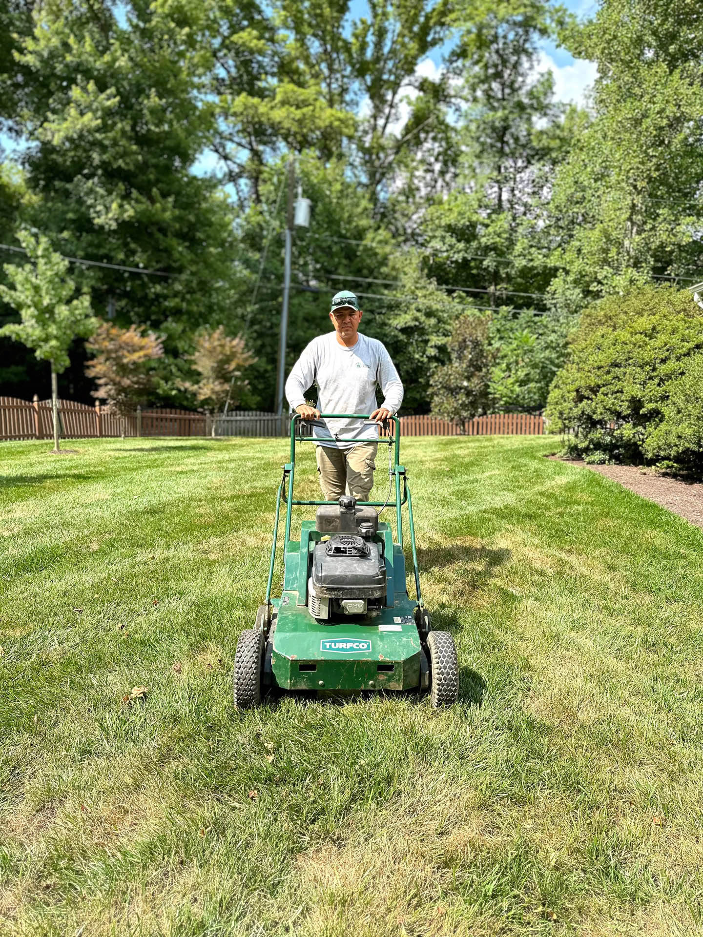 aeration and overseeding